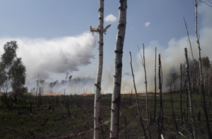 Jak chronimy las przed pożarami ?