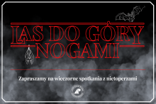 LAS DO GÓRY NOGAMI