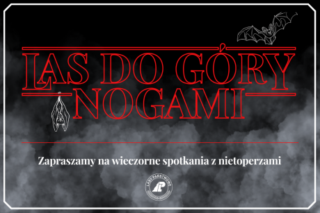 LAS DO GÓRY NOGAMI