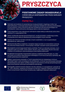 Pryszczyca - informacje